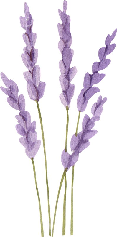 62df0bc0622352dd9867e1416cb8717e