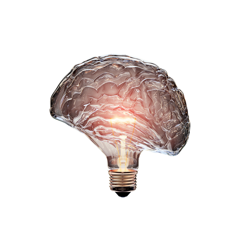 a08c1e8bcb4c218e6d36fd86f293cb6d